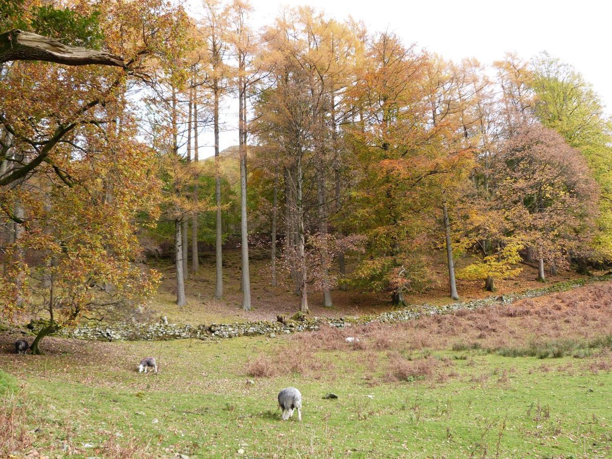 Hazel - Woodland Cottages Bowness-on-Windermere Bagian luar foto