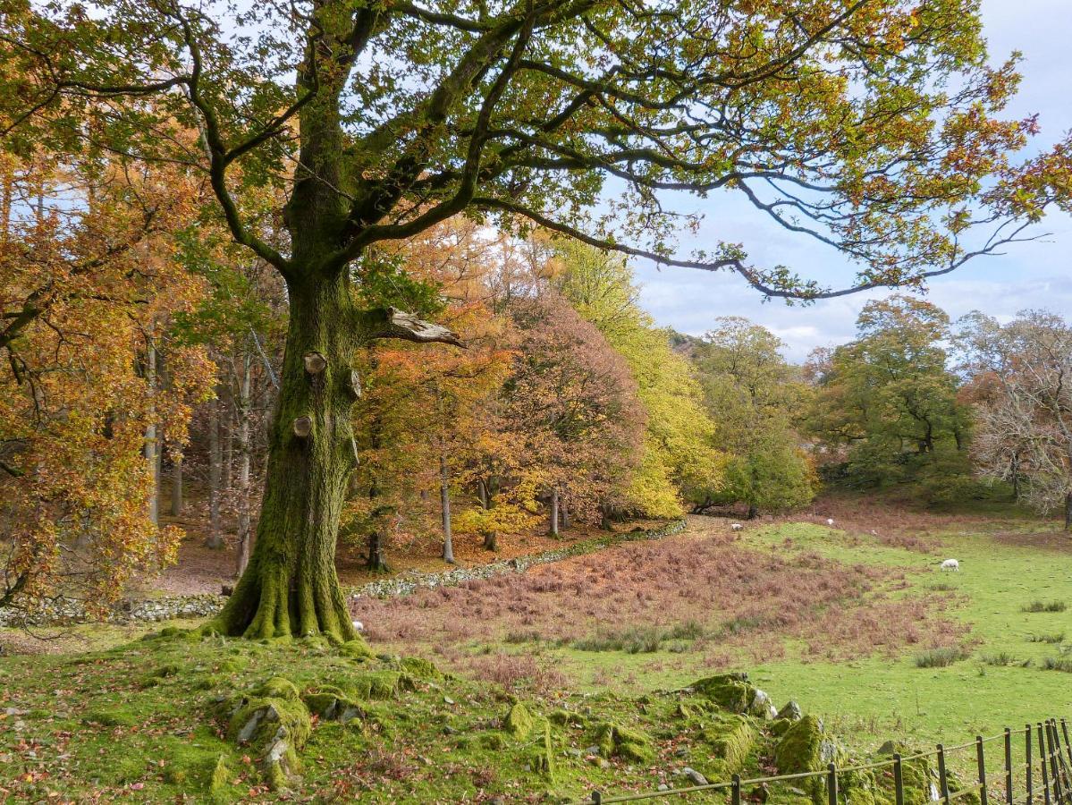 Hazel - Woodland Cottages Bowness-on-Windermere Bagian luar foto
