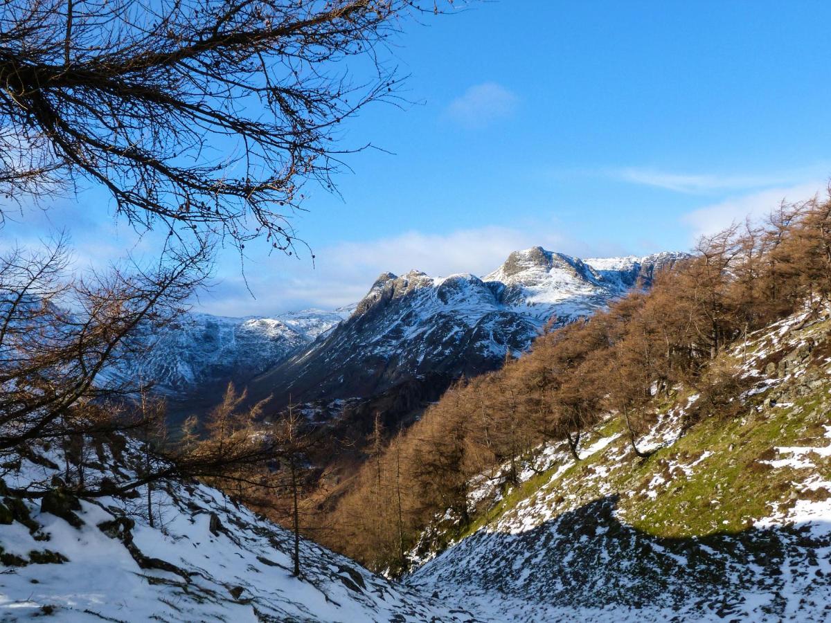 Hazel - Woodland Cottages Bowness-on-Windermere Bagian luar foto